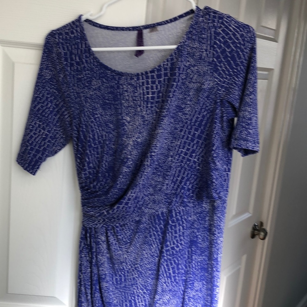 Seraphine maternity and nursing dress